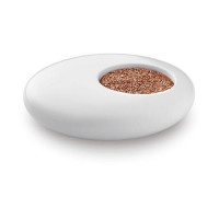 Настольный газон