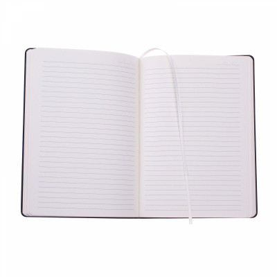 Блокнот А5, Picasso