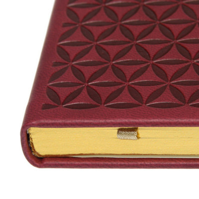 Записна книжка 'Chokobar' А5 золотий зріз (SETTEBELLO)
