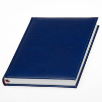 Ежедневник 'Небраска'*