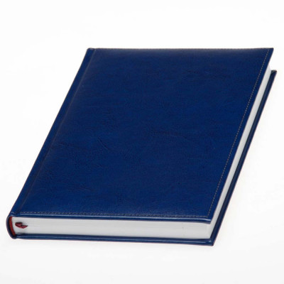 Ежедневник 'Небраска'*