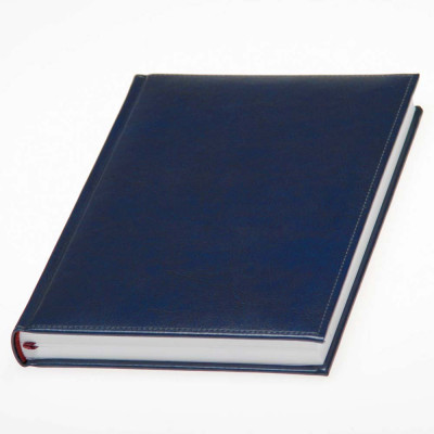 Ежедневник 'Небраска'*