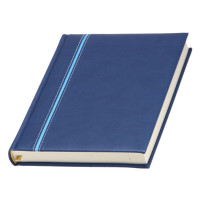 Ежедневник 'Ривьера'*