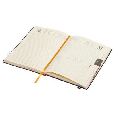 Ежедневник 'Ривьера'*