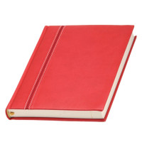 Ежедневник 'Ривьера'*