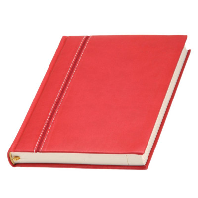 Ежедневник 'Ривьера'*