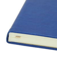 Записна книжка 'Туксон' А4 (Ivory Line)