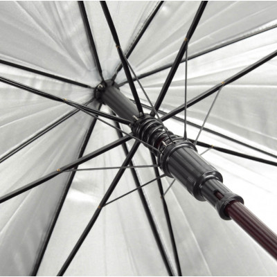 Парасолька-тростина Парасолька-тростина