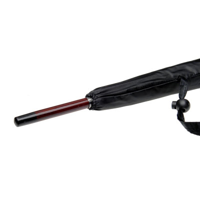 Парасолька-тростина Парасолька-тростина