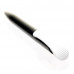 Ручка пластикова 'Clear' (Ritter Pen)