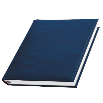 Щоденник 'Сідней'