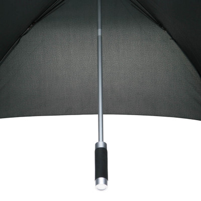 Парасолька-тростина Парасолька-тростина