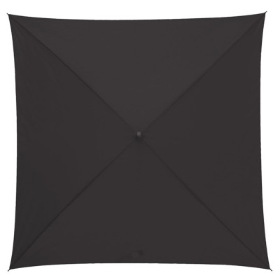 Парасолька-тростина Парасолька-тростина