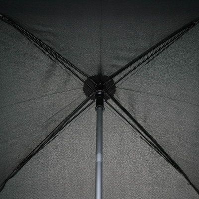 Парасолька-тростина Парасолька-тростина