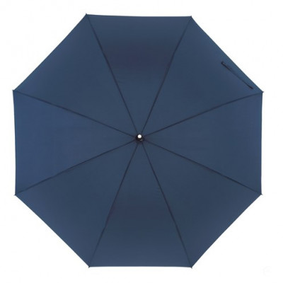 Парасолька-тростина 'Passat'