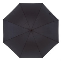Парасолька-тростина 'Passat'