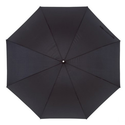 Парасолька-тростина 'Passat' Парасолька-тростина 'Passat'