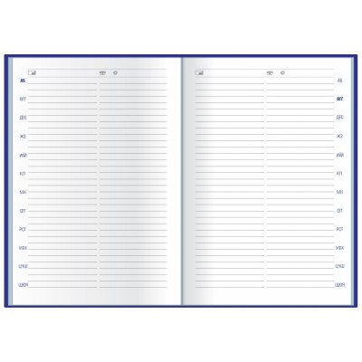 Щоденник недатований, А5, Carin, зелений