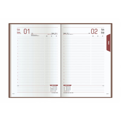 Щоденник датований 2026, FANTASY, бордо, А5