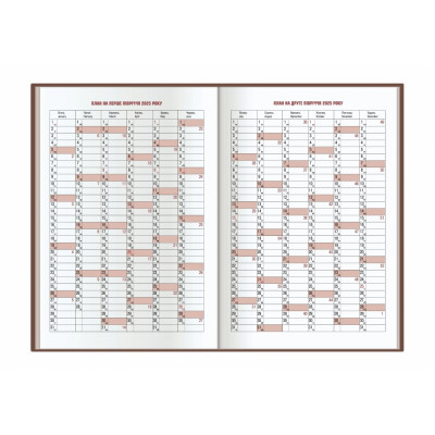 Щоденник датований 2026, FANTASY, бордо, А5