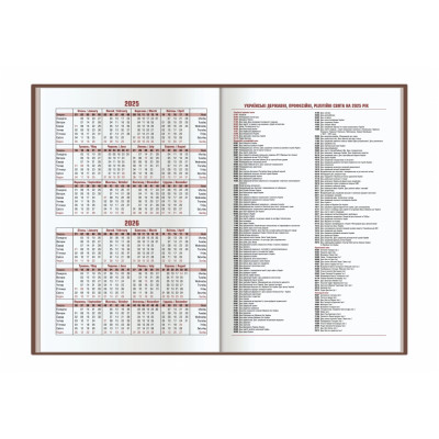 Щоденник датований 2026, FANTASY, бордо, А5