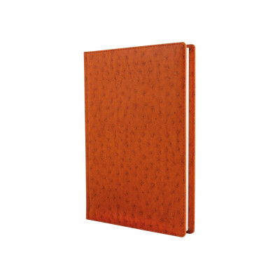 Щоденник недатований Cabinet, Ostrich, коричневий, А5