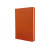 Щоденник недатований Cabinet, Ostrich, коричневий, А5