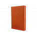 Щоденник недатований Cabinet, Ostrich, коричневий, А5
