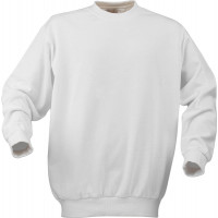 Толстовка мужская Softball от ТМ Printer