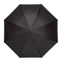 Парасолька-тростинка