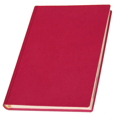 Ежедневник 'Сантьяго NEW'