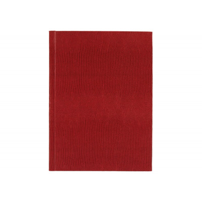 Блокнот А6, 80 л, "Змія", червоний