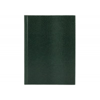 Блокнот А6, 80 л, "Змія", зелений