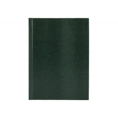 Блокнот А6, 80 л, "Змія", зелений