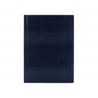 Блокнот А5, 80 л, "Змія", синій