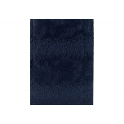 Блокнот А5, 80 л, "Змія", синій