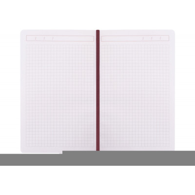 Діловий записник SQUARE, А5, тверда обкладинка, гумка, білий блок клітинка, фісташковий