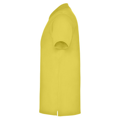 Поло Star 200, TM Roly