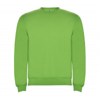 Реглан Clasica 280 ТМ Roly