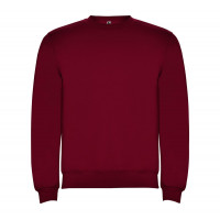 Реглан Clasica 280 ТМ Roly