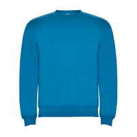 Реглан Clasica 280 ТМ Roly