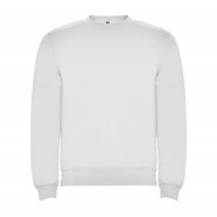 Реглан Clasica 280 ТМ Roly