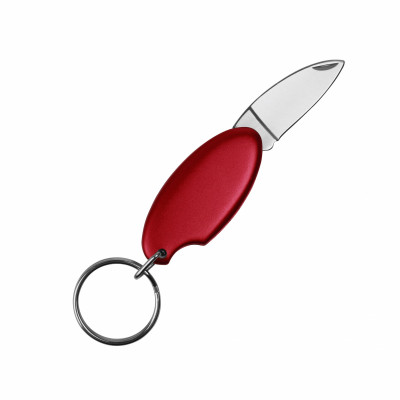 Брелок для ключів Drop,TM Discover