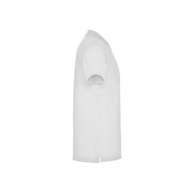 Поло Star JN 200, TM Roly