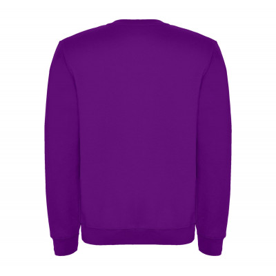 Реглан Clasica 280 ТМ Roly