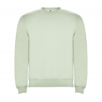 Реглан Clasica 280 ТМ Roly