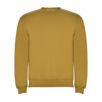 Реглан Clasica 280 ТМ Roly