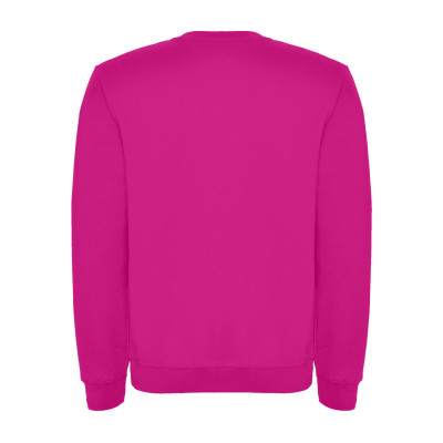 Реглан Clasica 280 ТМ Roly