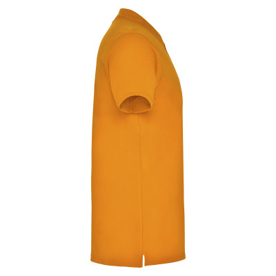 Поло Star 200, TM Roly