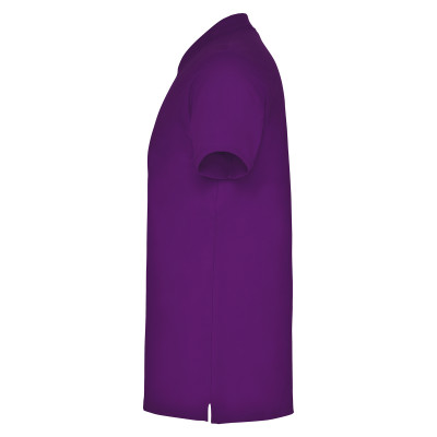 Поло Star 200, TM Roly